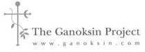 Sponsor Ganoksin Project 2014 Lewton-Brain Foldform Competition